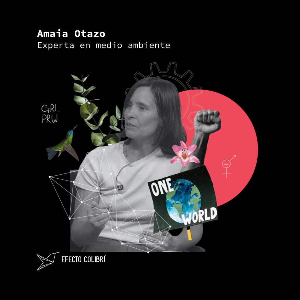 amaia_otazo_efecto_colibri_proyecto_co_sustentabilidad